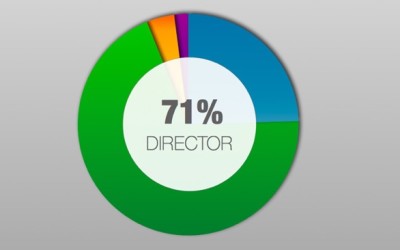 70% of Nonprofit Leaders Identify as The DIRECTOR